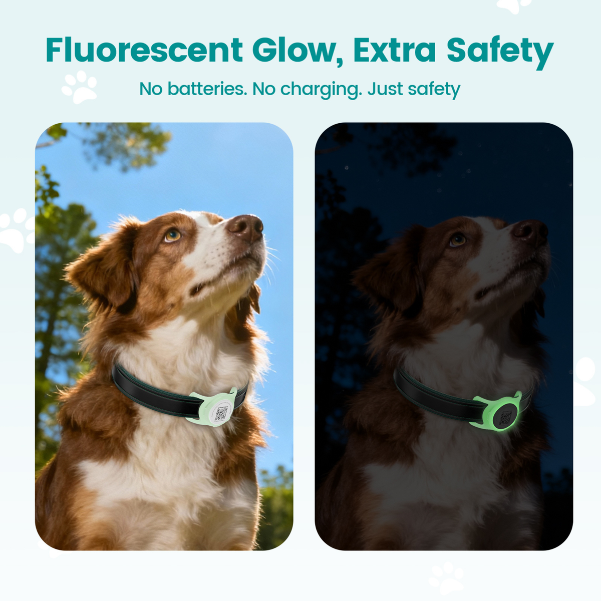 Glow-in-the-Dark Slide-On Anti-Loss Smart Pet ID Tag - QR & AirTag Holder