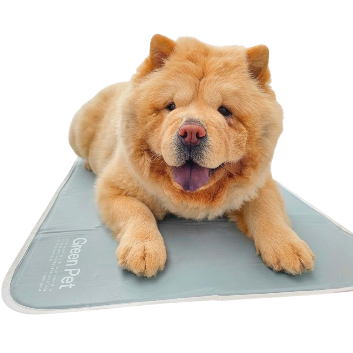 Cool Pet Pad