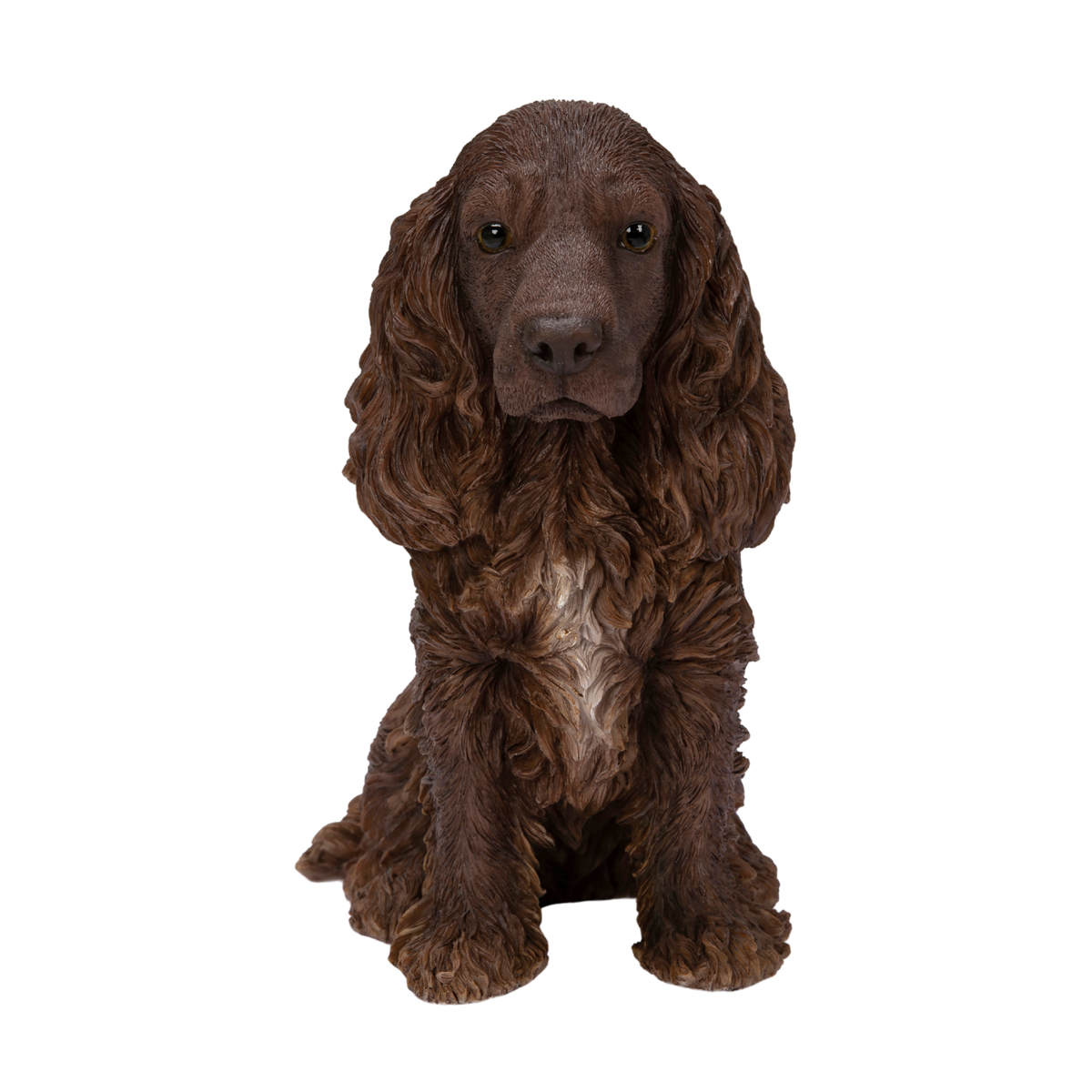 Brown Chocolate Cocker Spaniel