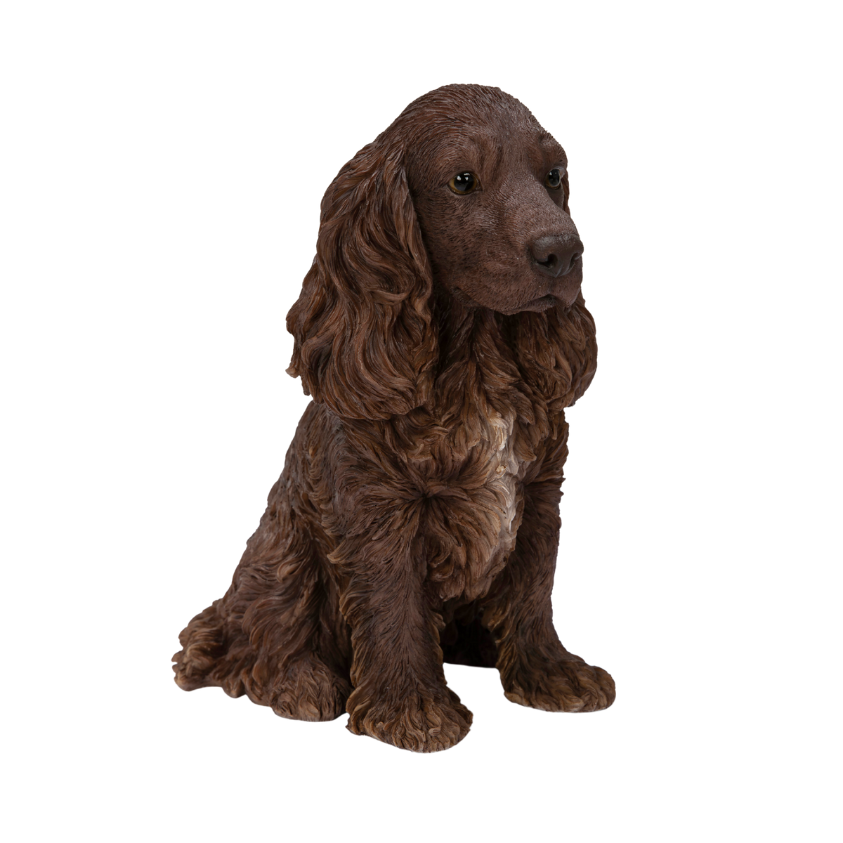 Brown Chocolate Cocker Spaniel