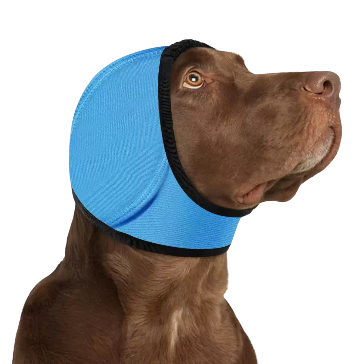 HushHug Calming Ear Wrap