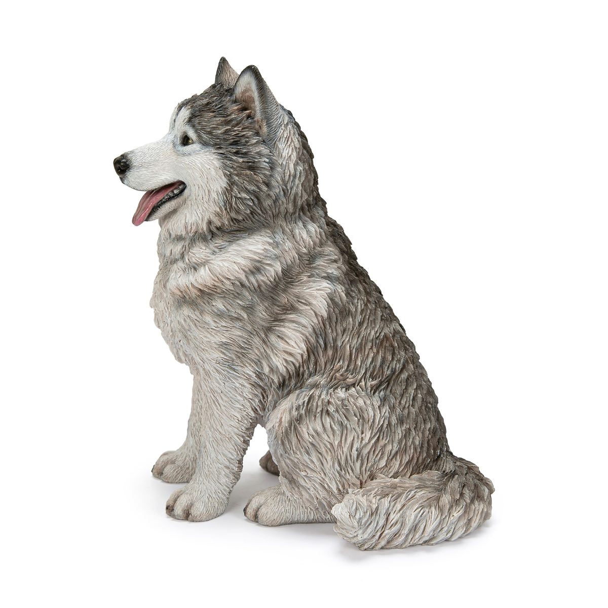 Malamute Husky