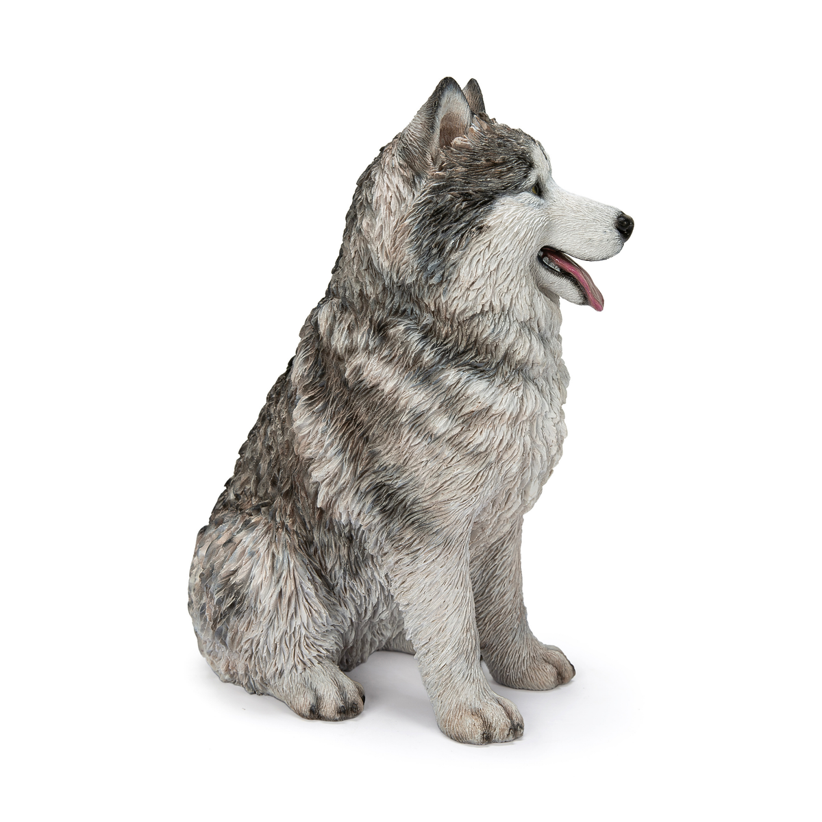 Malamute Husky