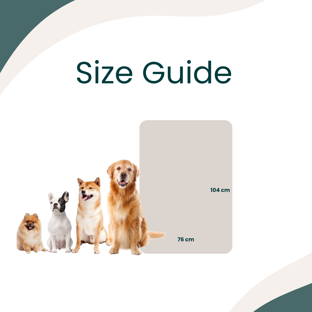 PawPrint 4-Pack Blankets