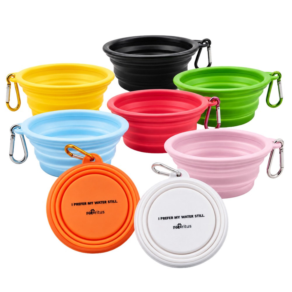 Pet Travel Bowl