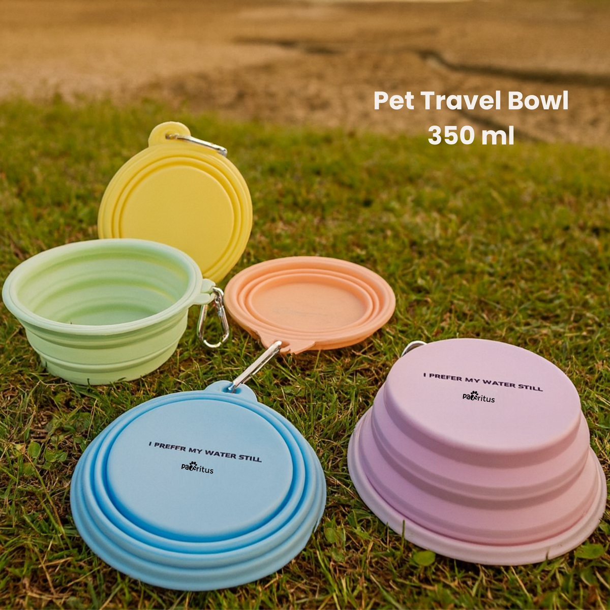 Pet Travel Bowl