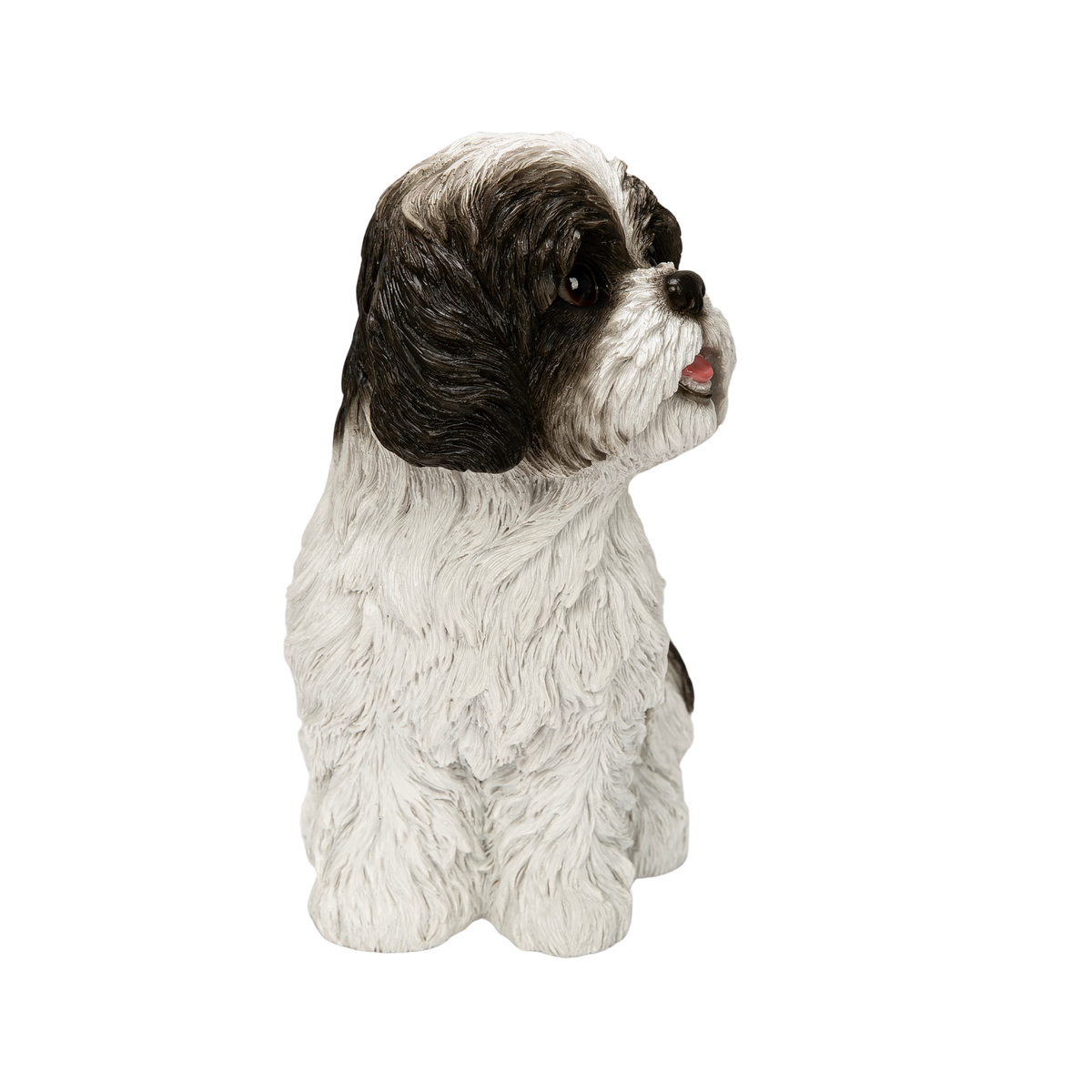 Shih-Tzu