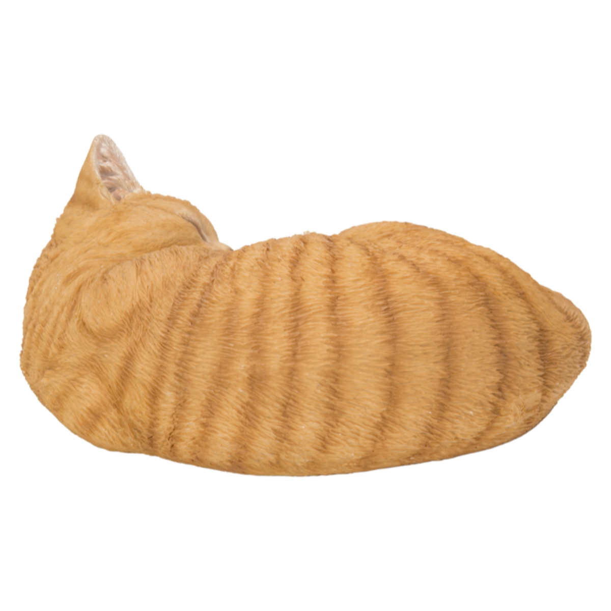 Sleeping Cat Ginger