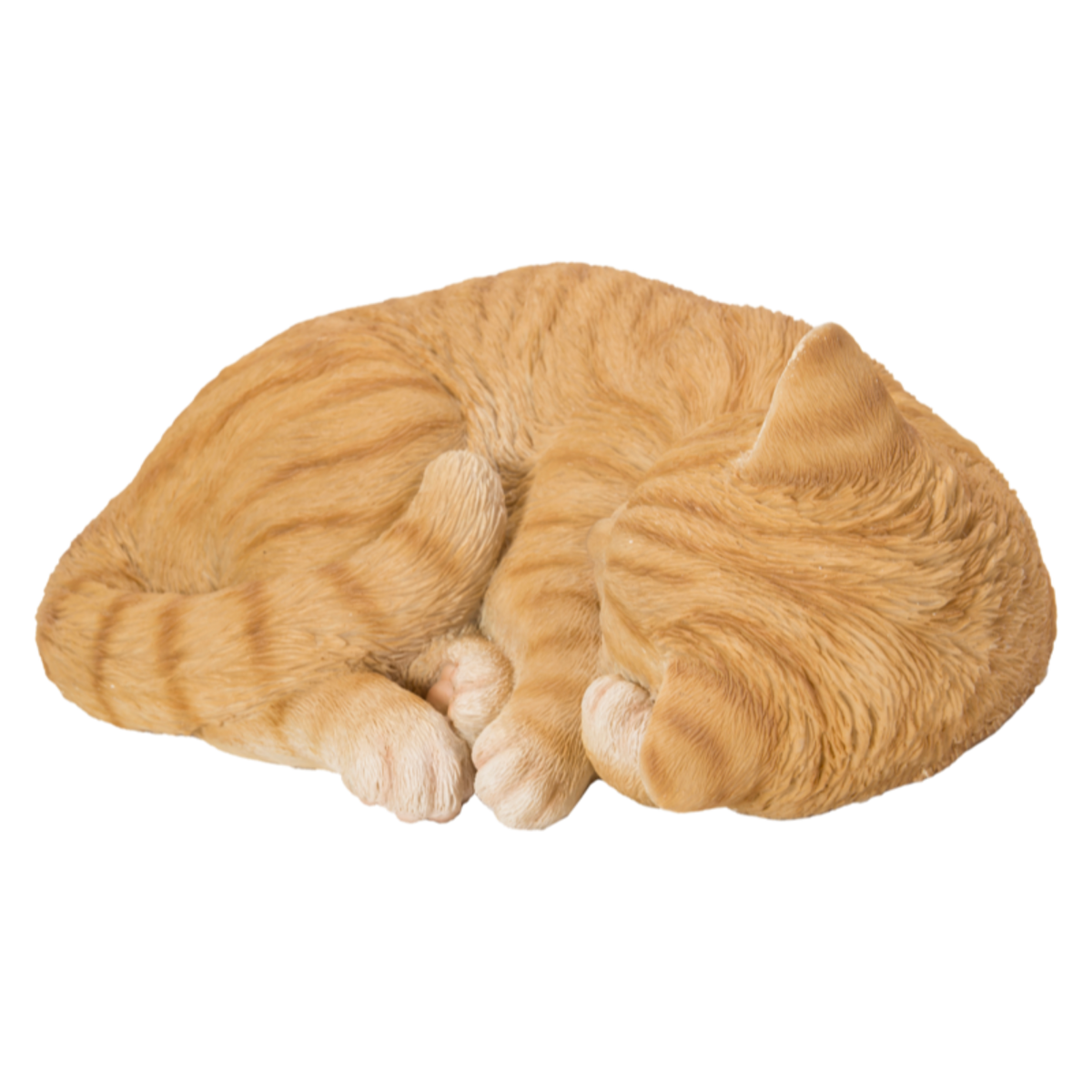 Sleeping Cat Ginger