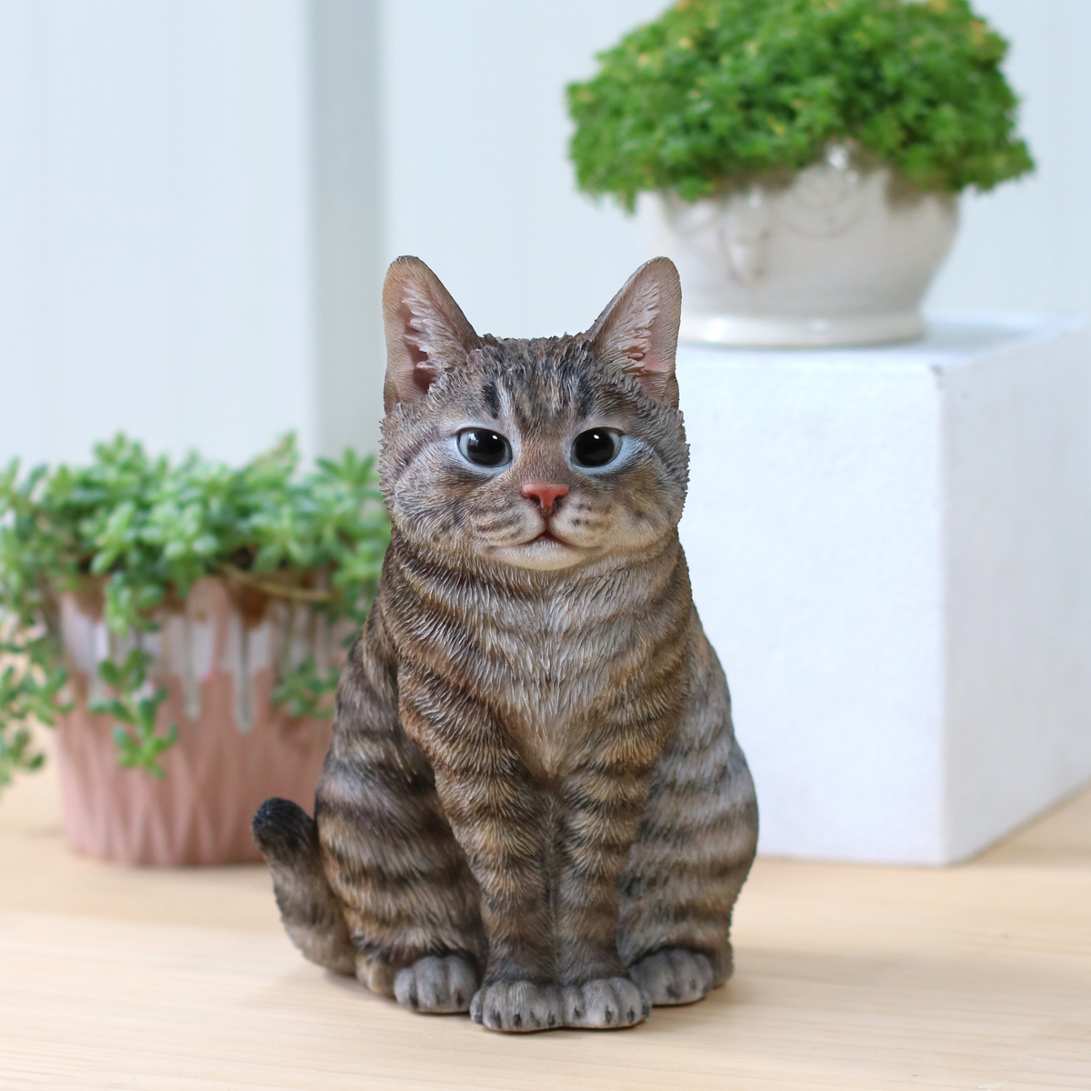 Tabby Cat