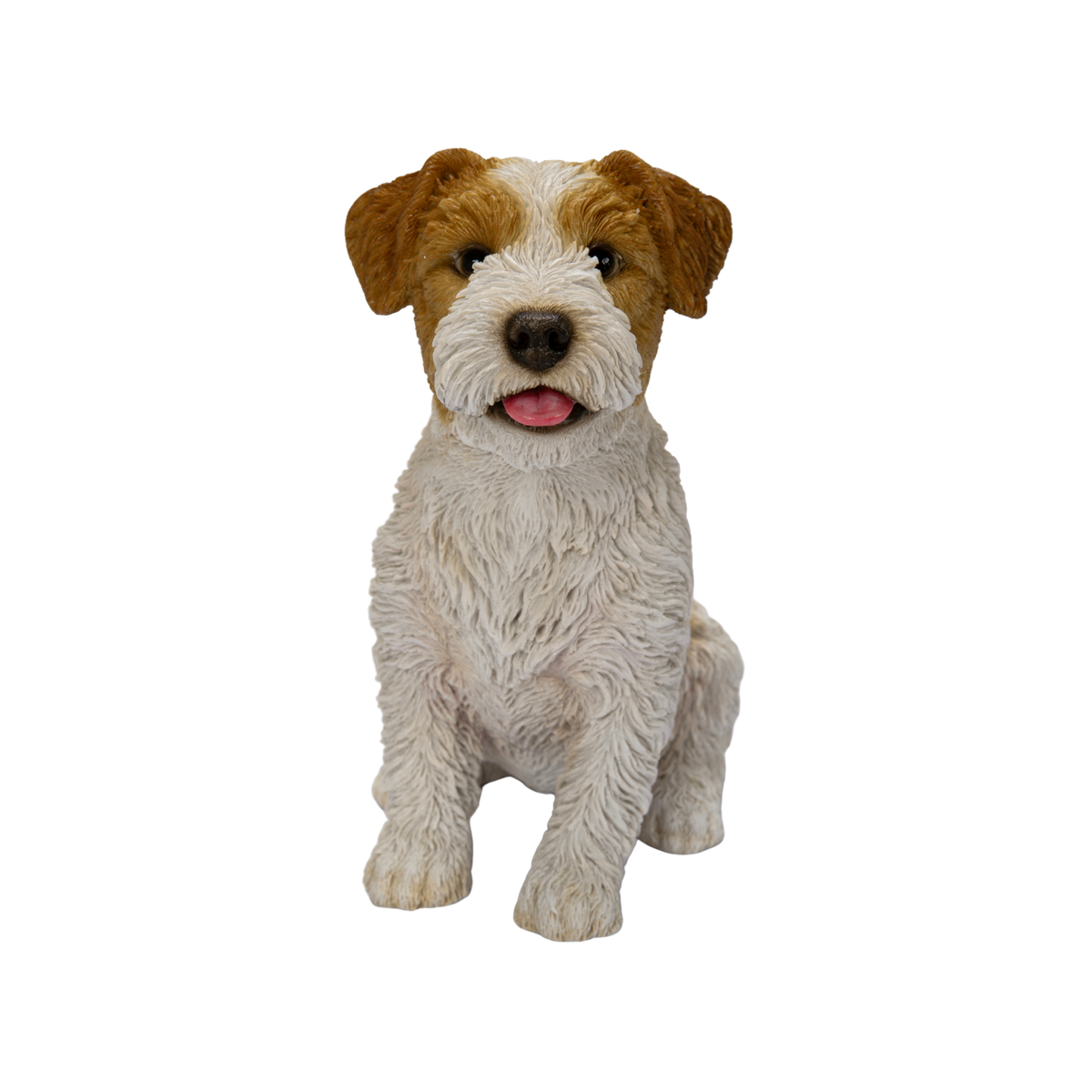 Wire-Haired Jack Russell
