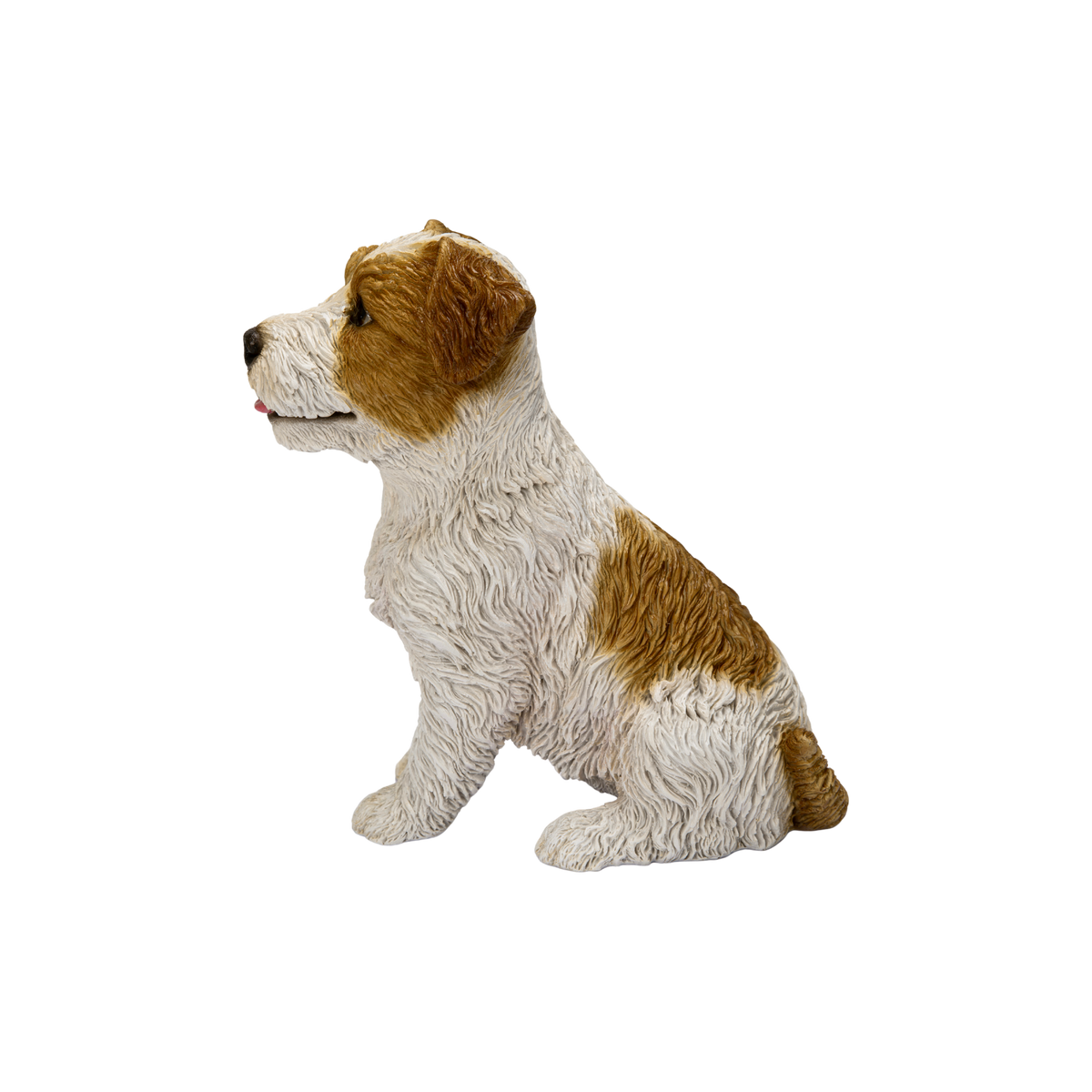 Wire-Haired Jack Russell
