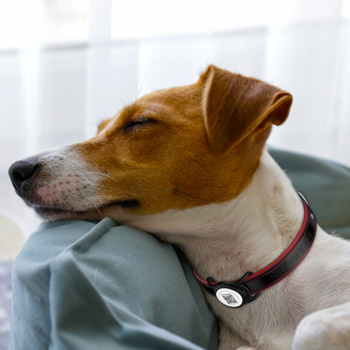 Smart ID Tags & Trackers