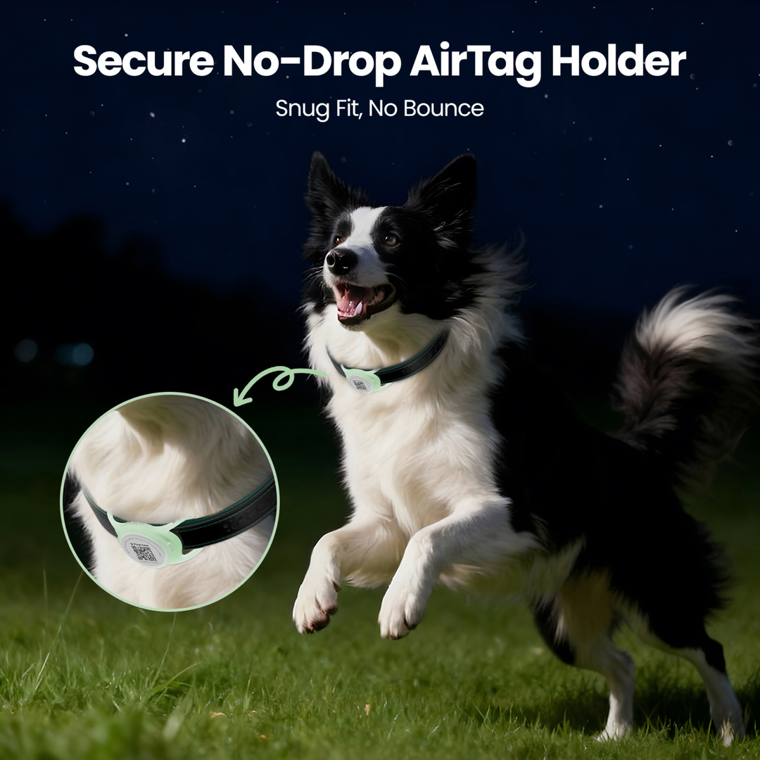 Glow-in-the-Dark Slide-On Anti-Loss Smart Pet ID Tag - QR & AirTag Holder