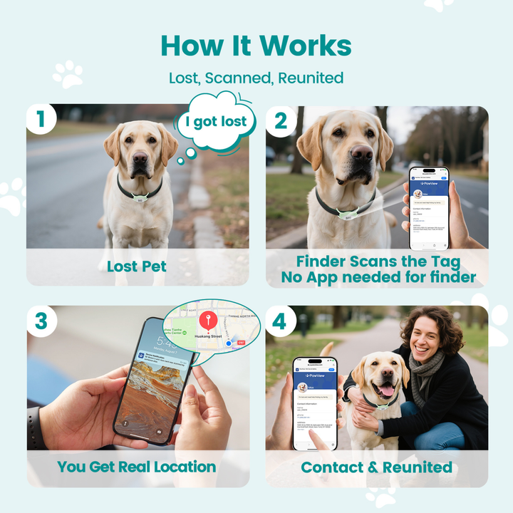 Glow-in-the-Dark Slide-On Anti-Loss Smart Pet ID Tag - QR & AirTag Holder