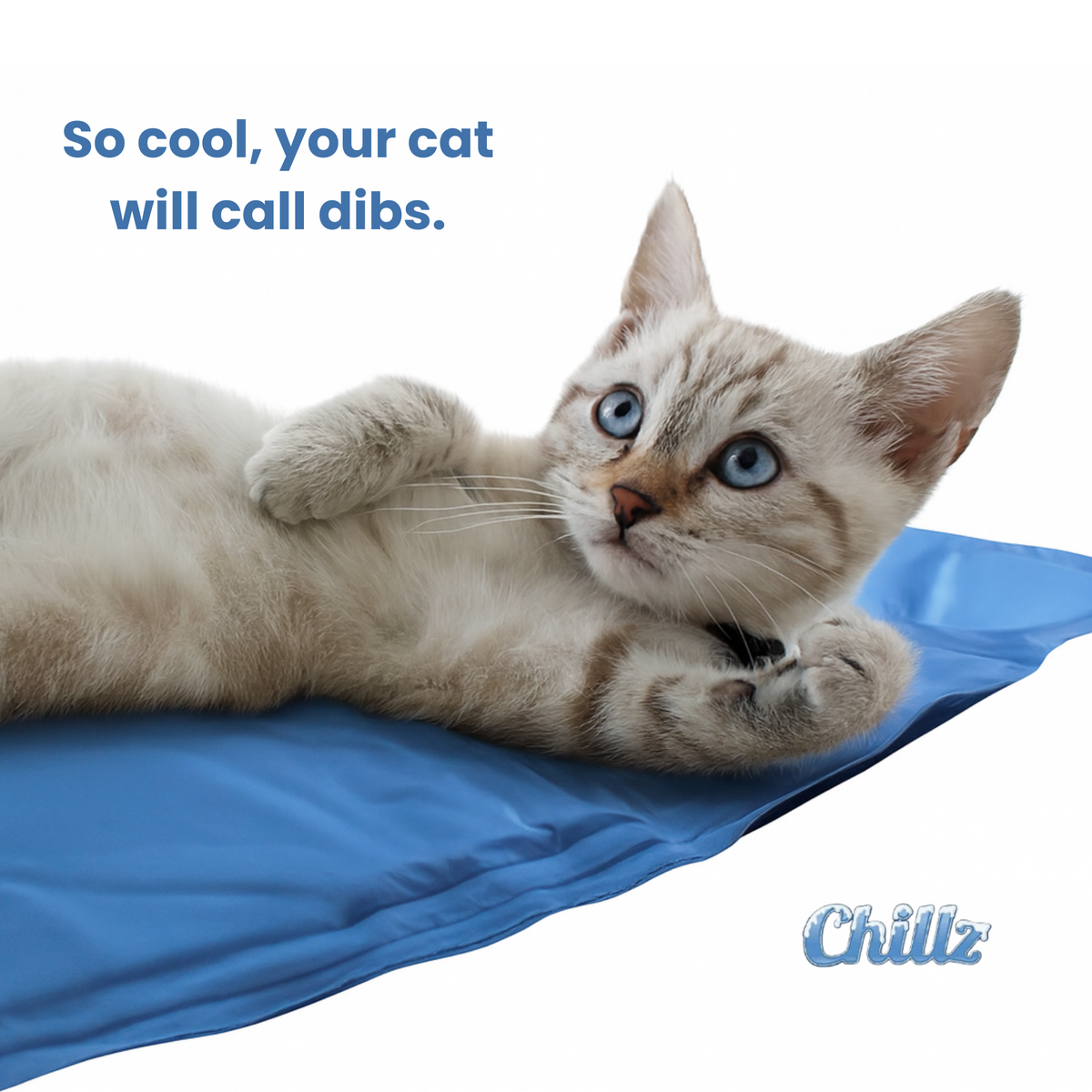 Chillz Gel Mat