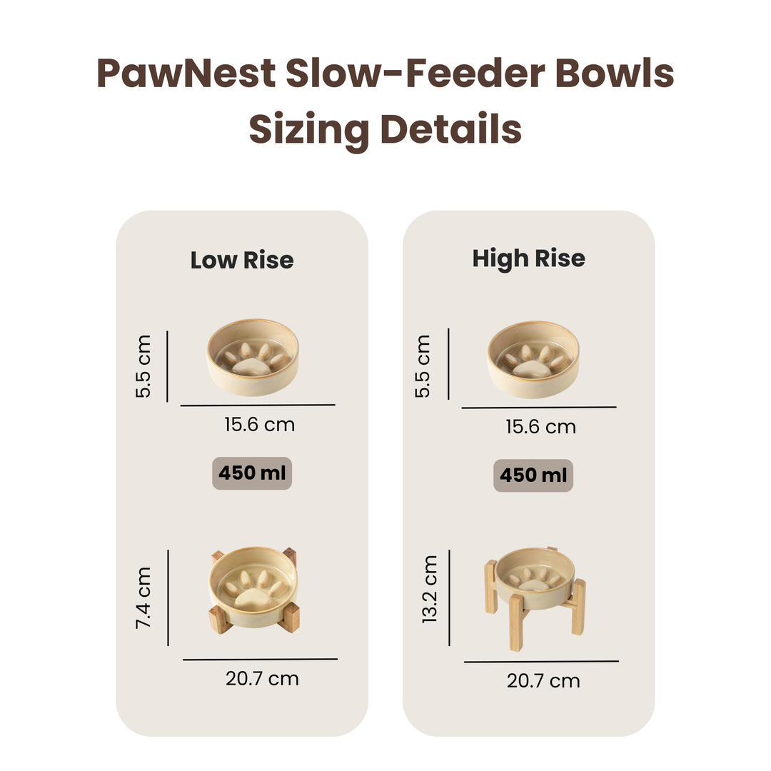 PawNest Slow-Feeder Bowl