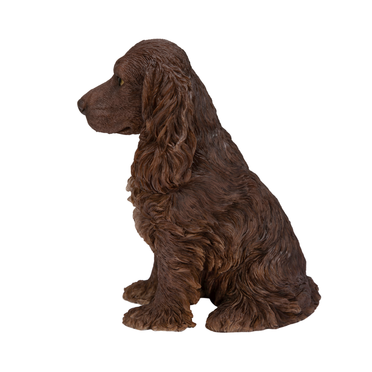 Brown Chocolate Cocker Spaniel