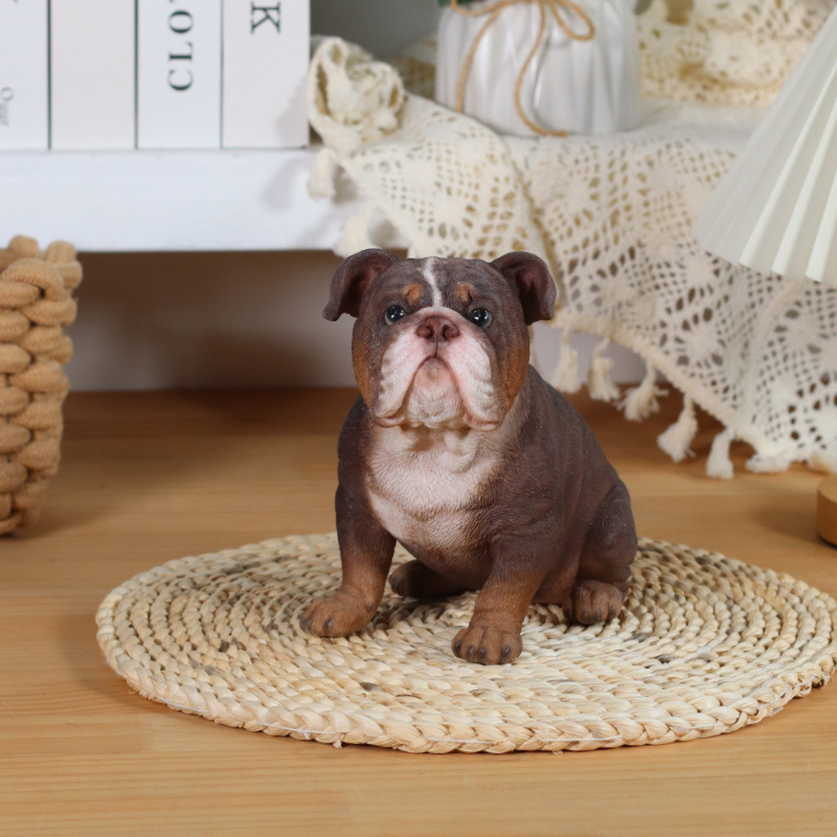 Bulldog Lilac Tricolor