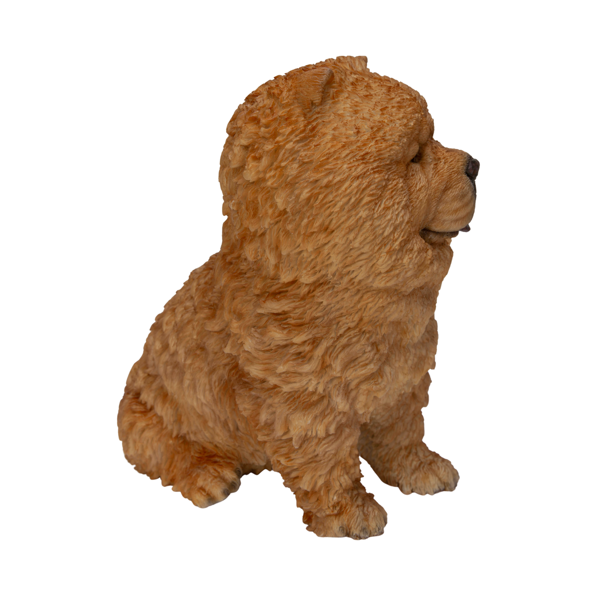 Chow Chow