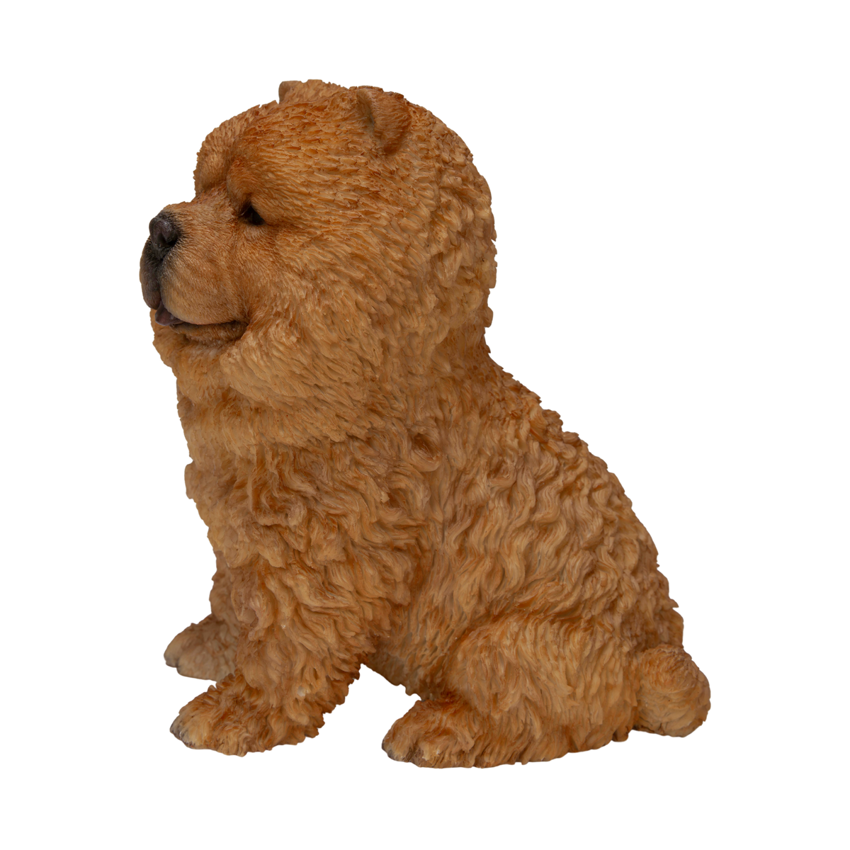 Chow Chow