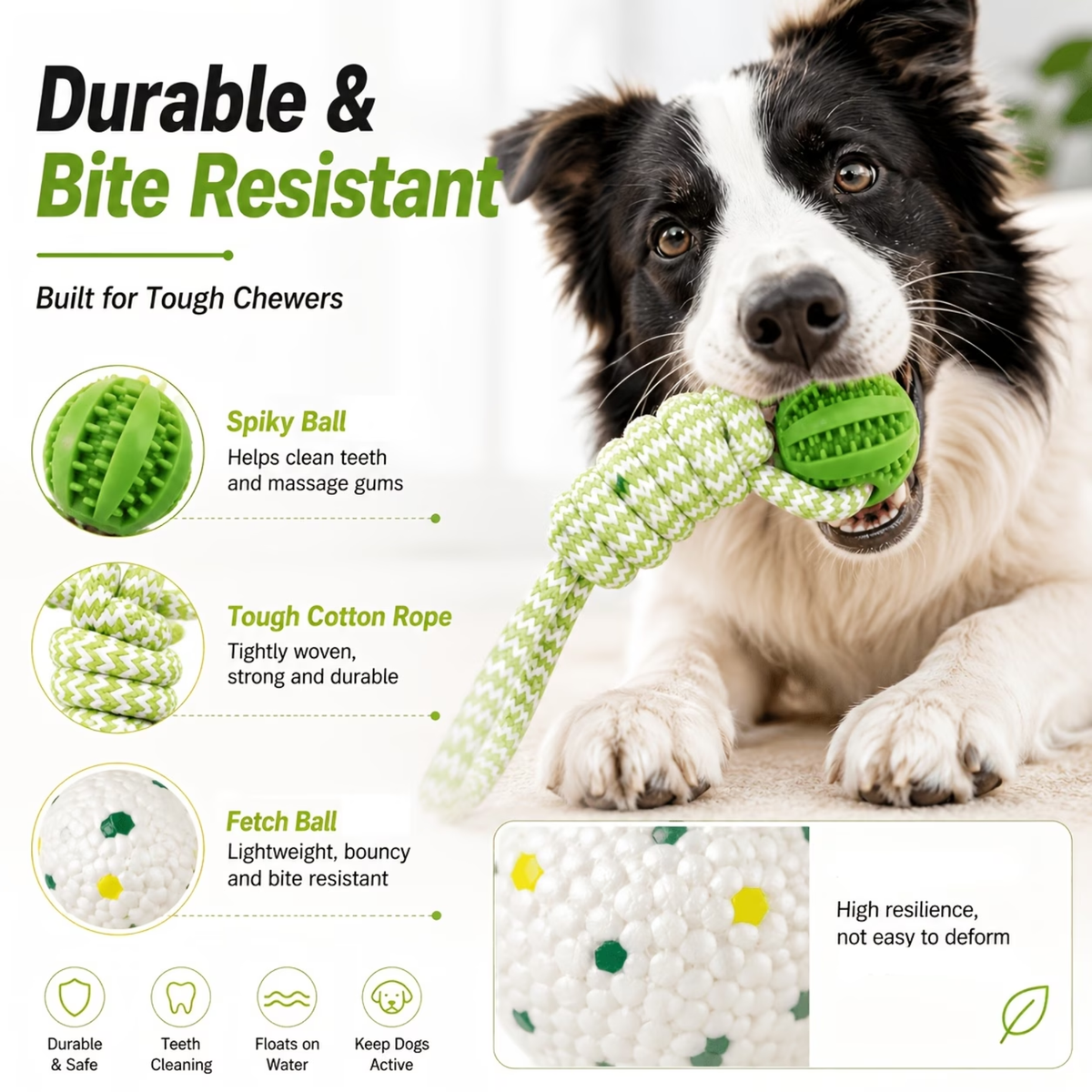 Fetch & Tug Duo