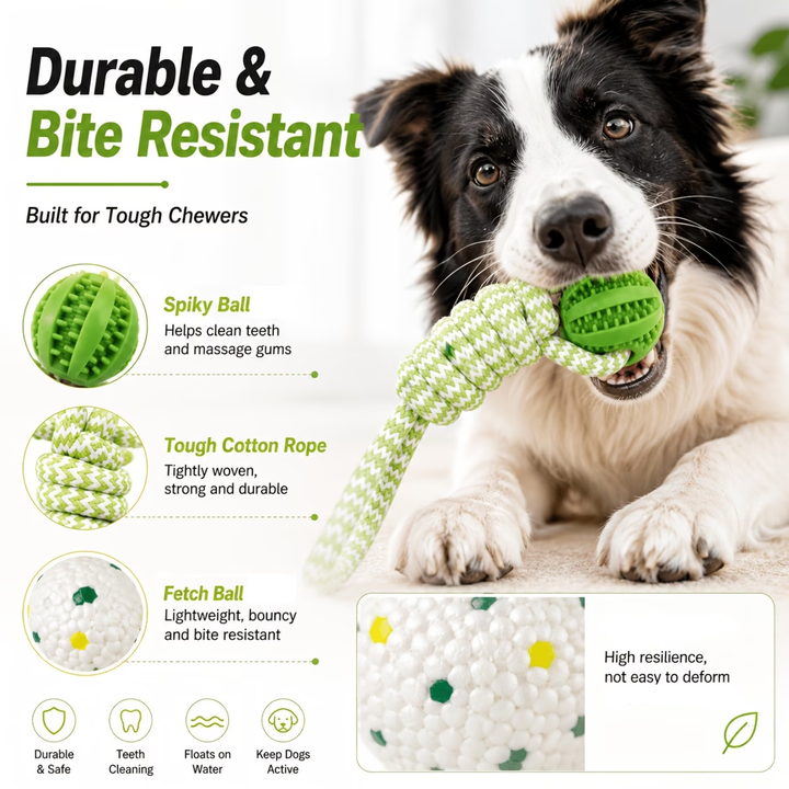 Fetch & Tug Duo