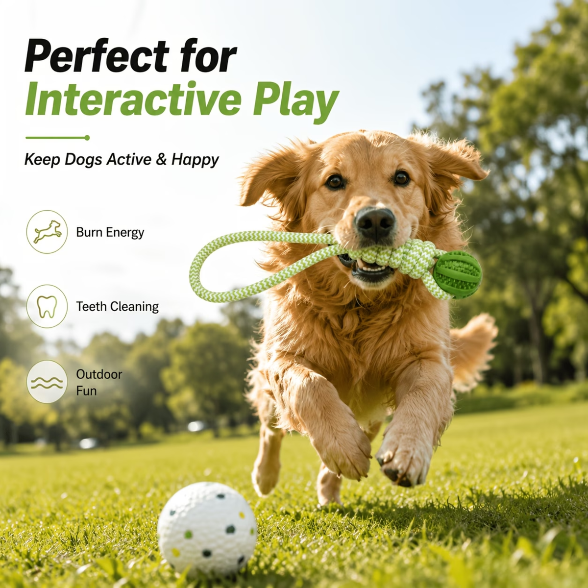 Fetch & Tug Duo