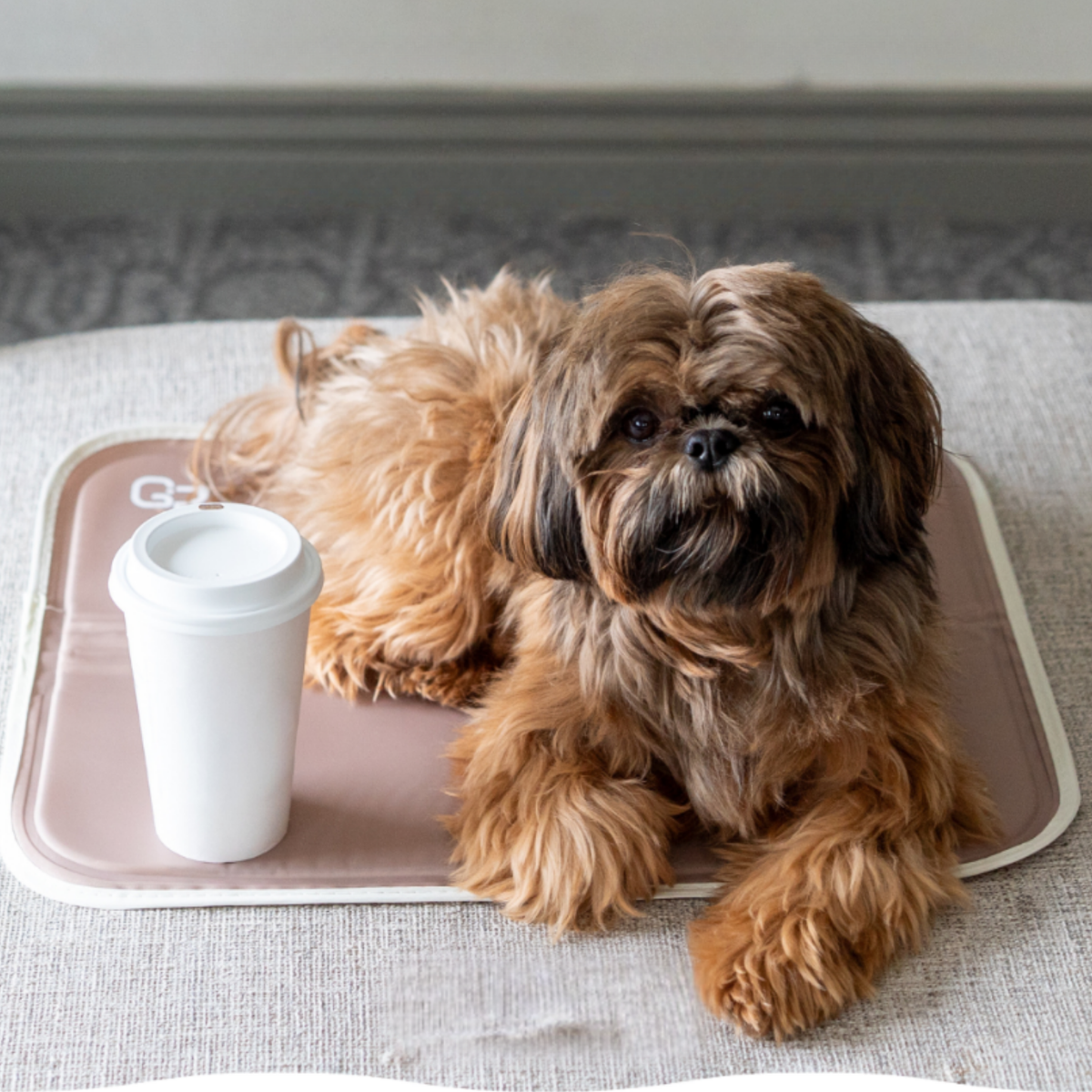 Cool Pet Pad