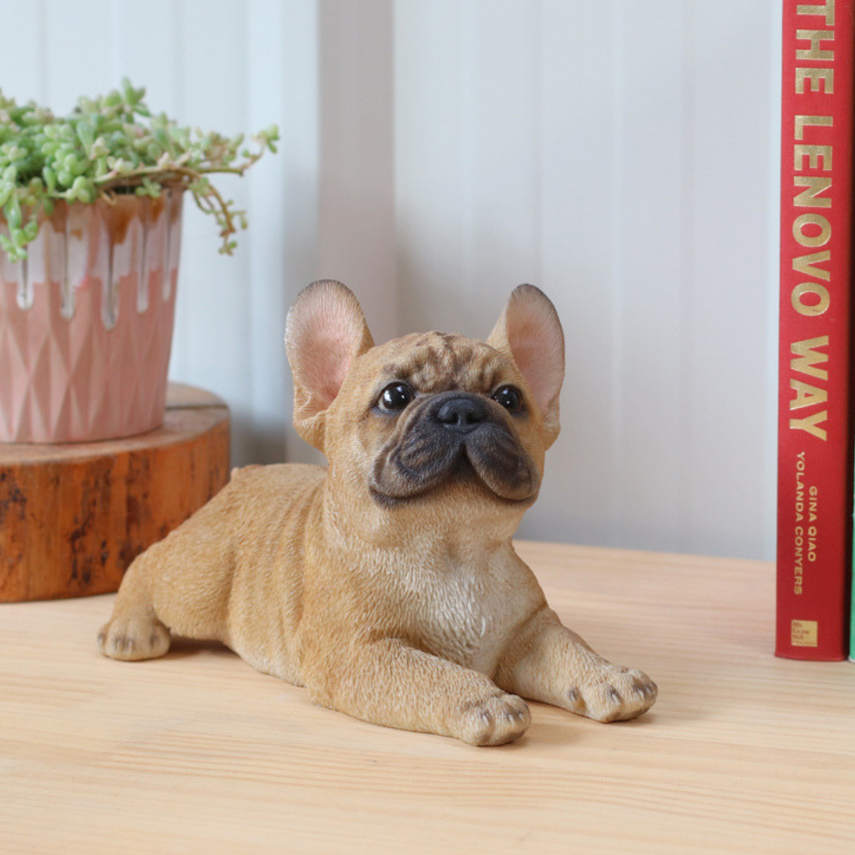 Lying French Bulldog Puppy