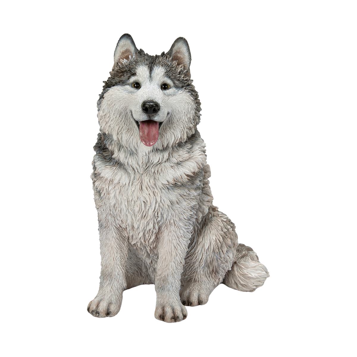 Malamute Husky