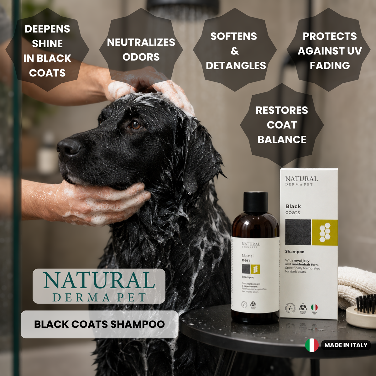 Black Coat Radiance Shampoo with Royal Jelly & Maidenhair Fern