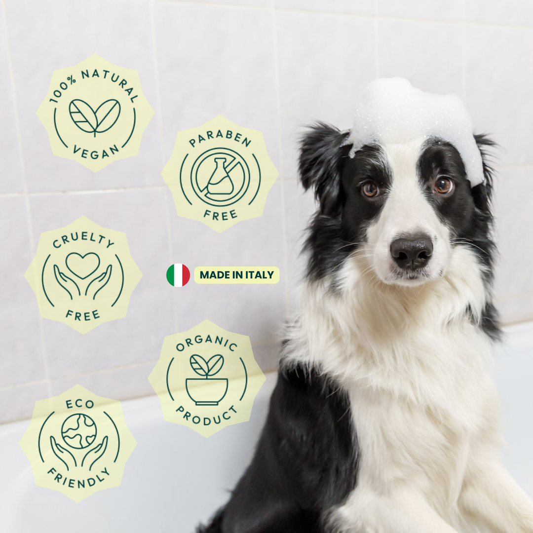 Gentle Pet Shampoo with Olive Oil & Chamomile