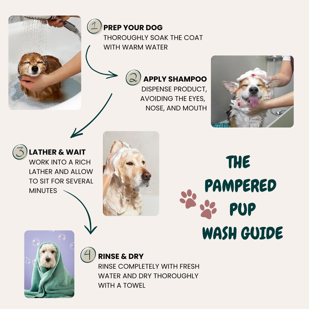 Gentle Pet Shampoo with Olive Oil & Chamomile