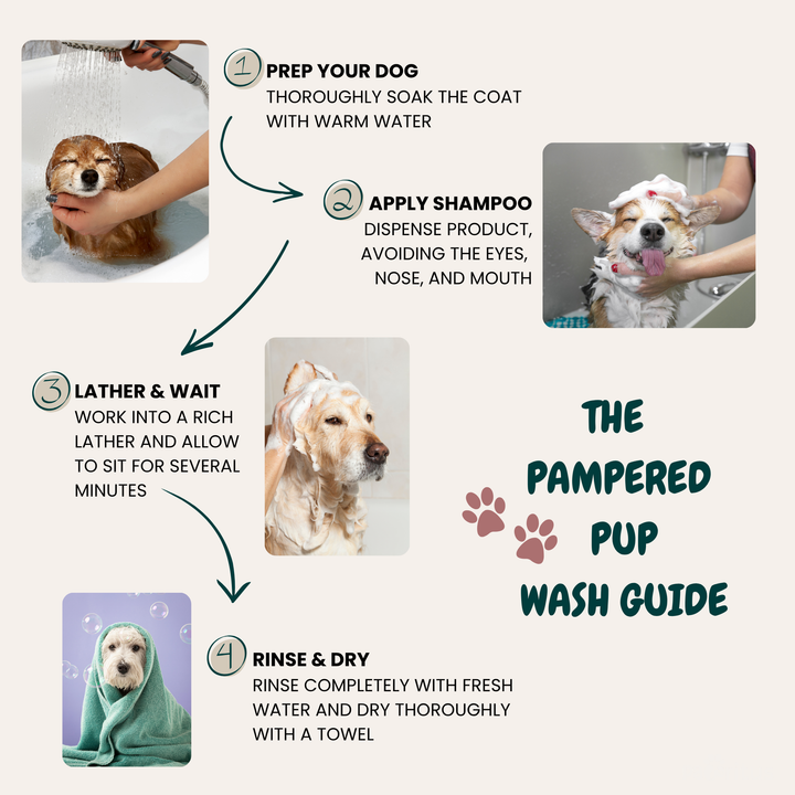 Gentle Pet Shampoo with Olive Oil & Chamomile