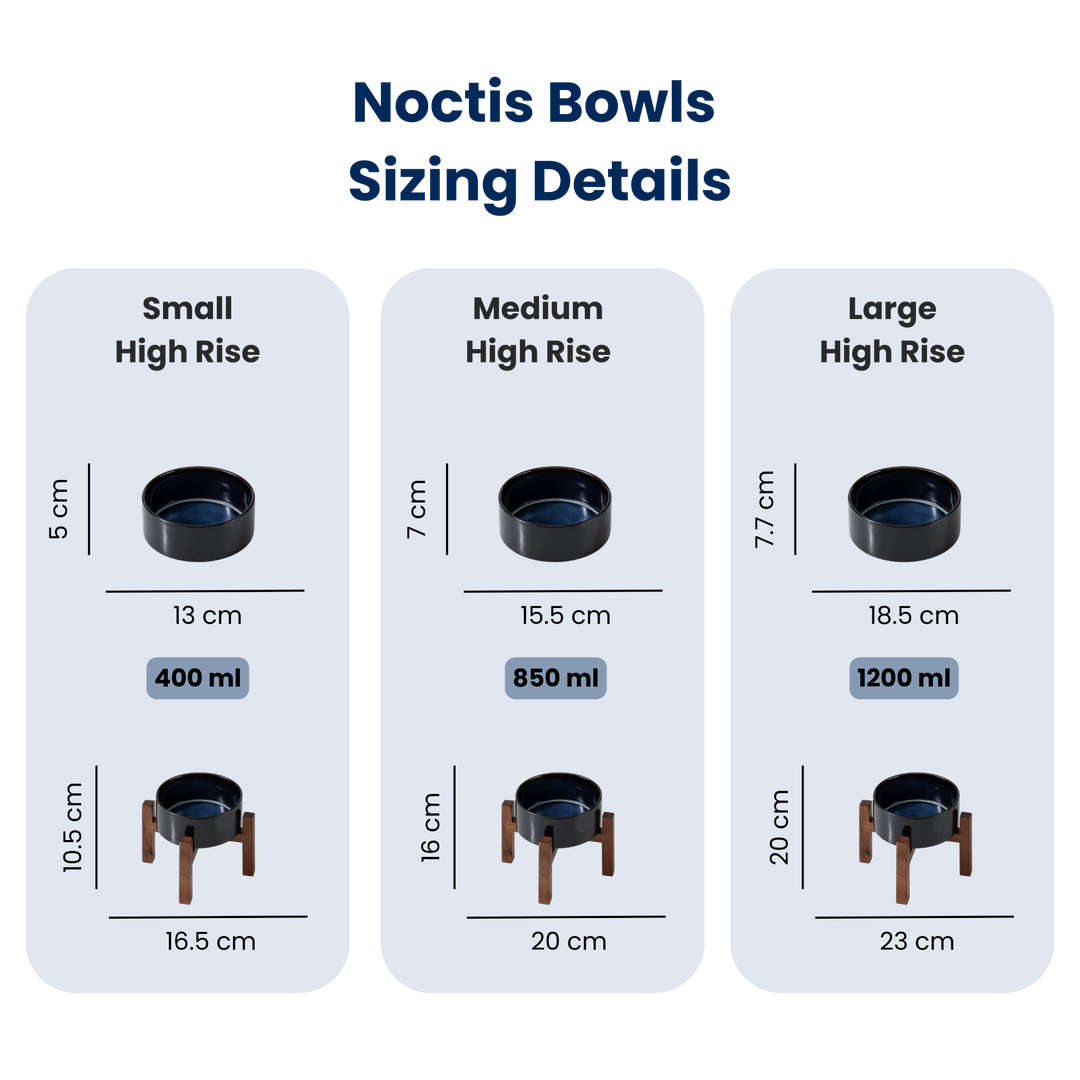 Noctis Bowl