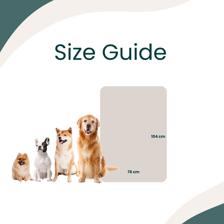 PawPrint 4-Pack Blankets