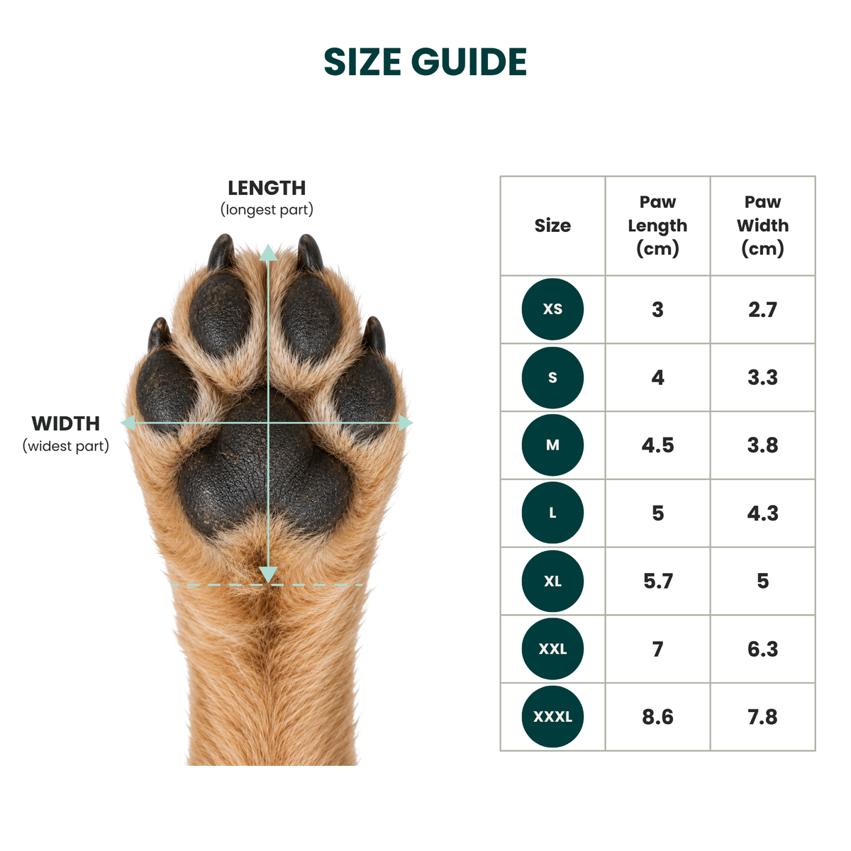 Pawtectors™