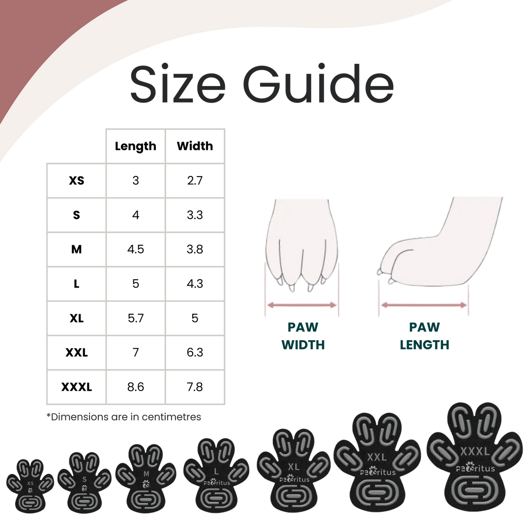 Pawtectors™