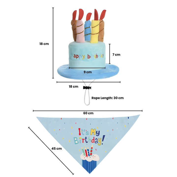 Pet Birthday Hat & Bib Set