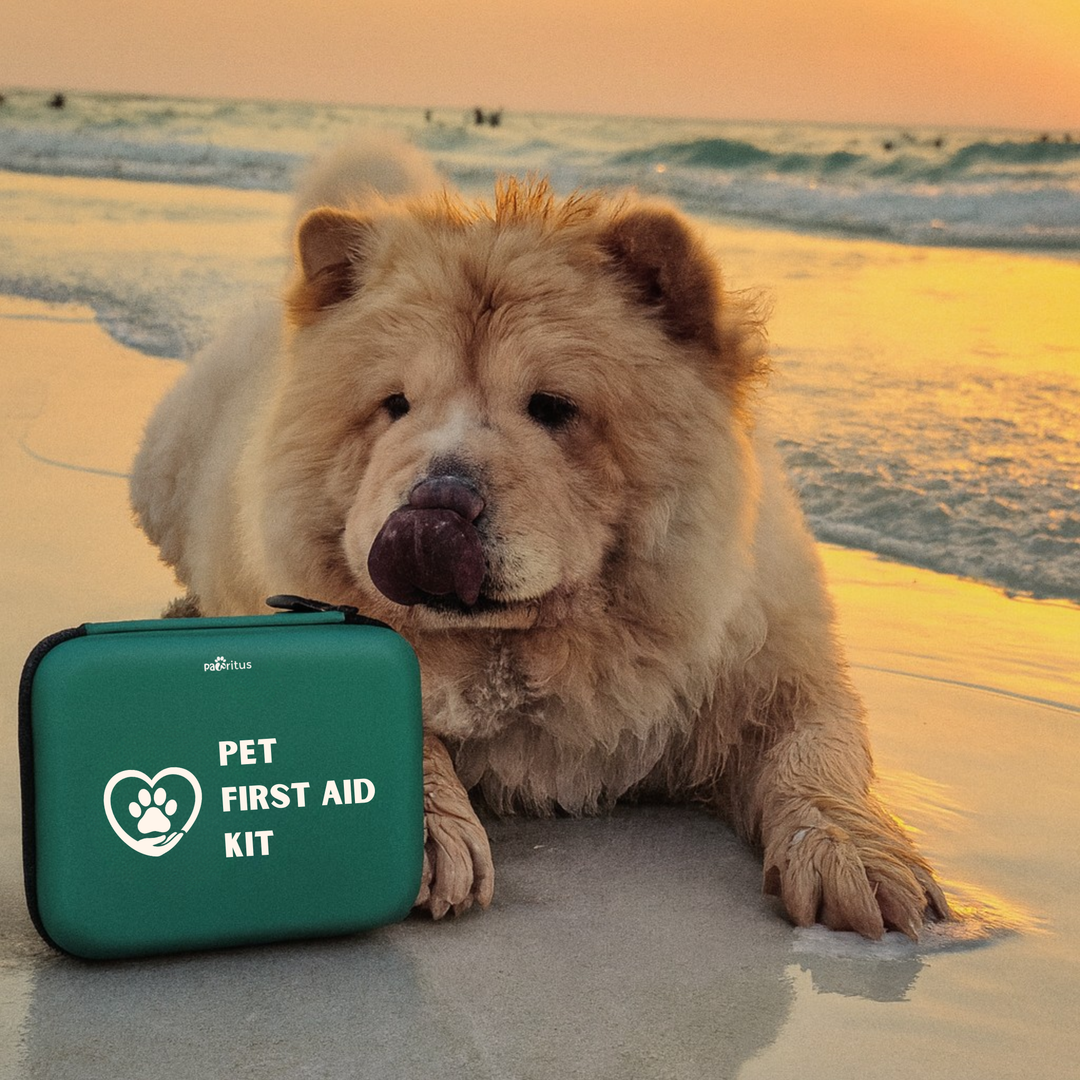Pet First Aid Kit