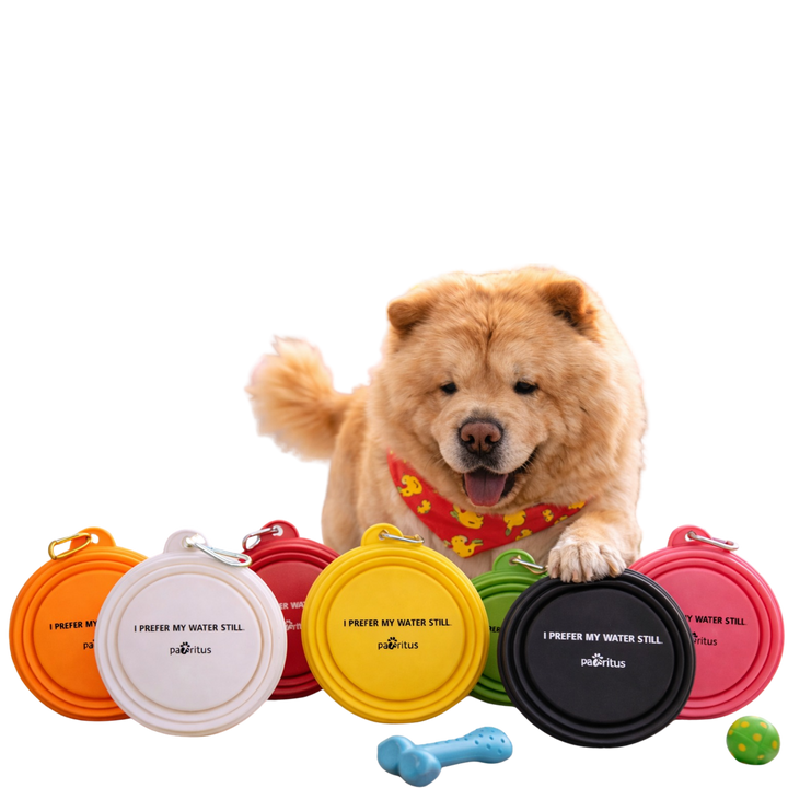 Pet Travel Bowl