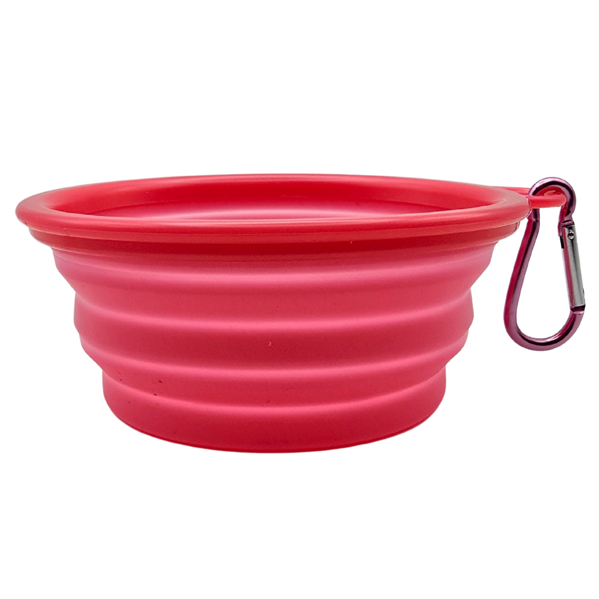Pet Travel Bowl