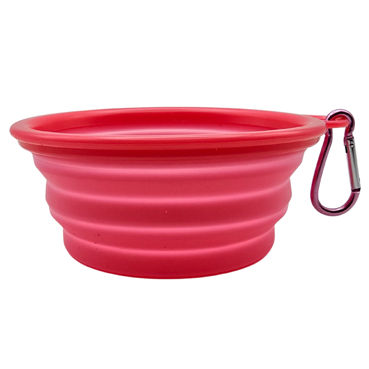 Pet Travel Bowl