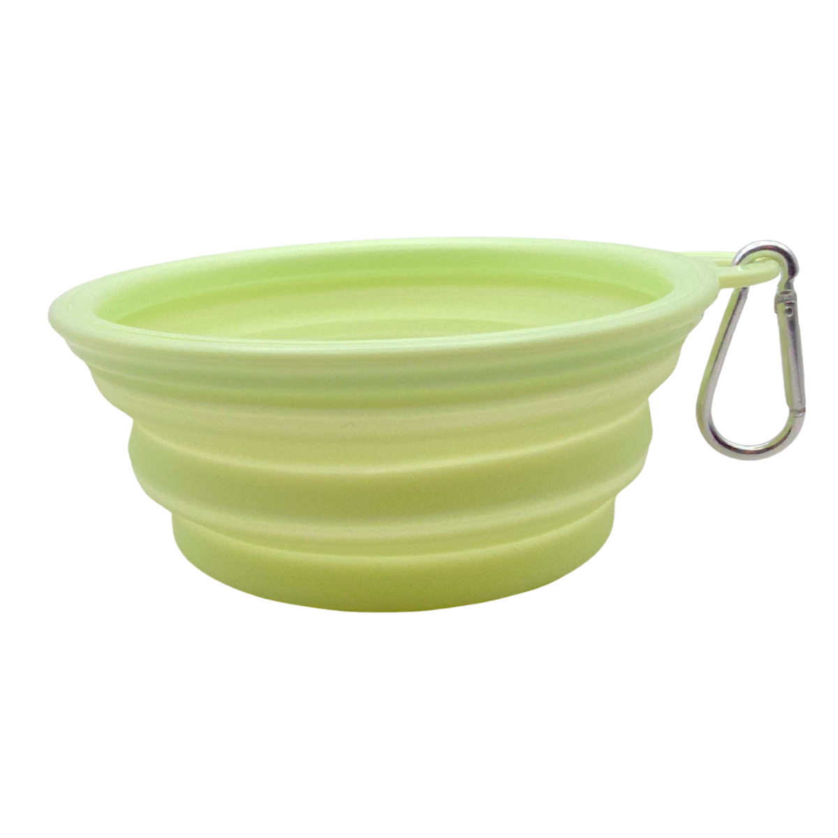 Pet Travel Bowl