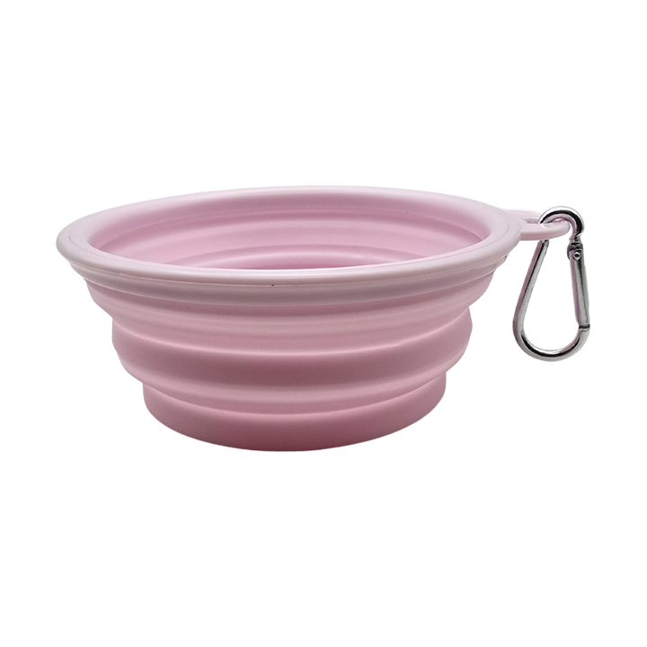 Pet Travel Bowl