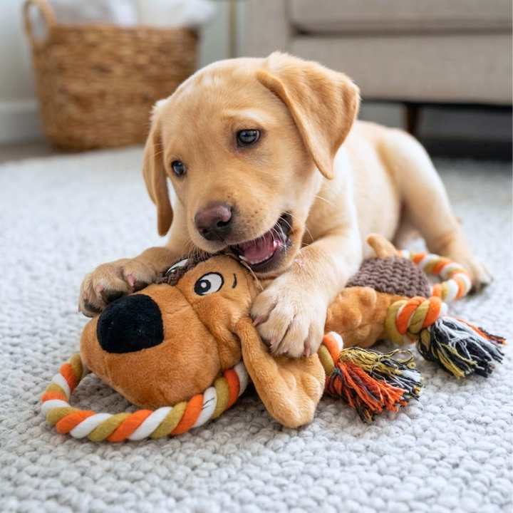 Rusty the Rope Pup