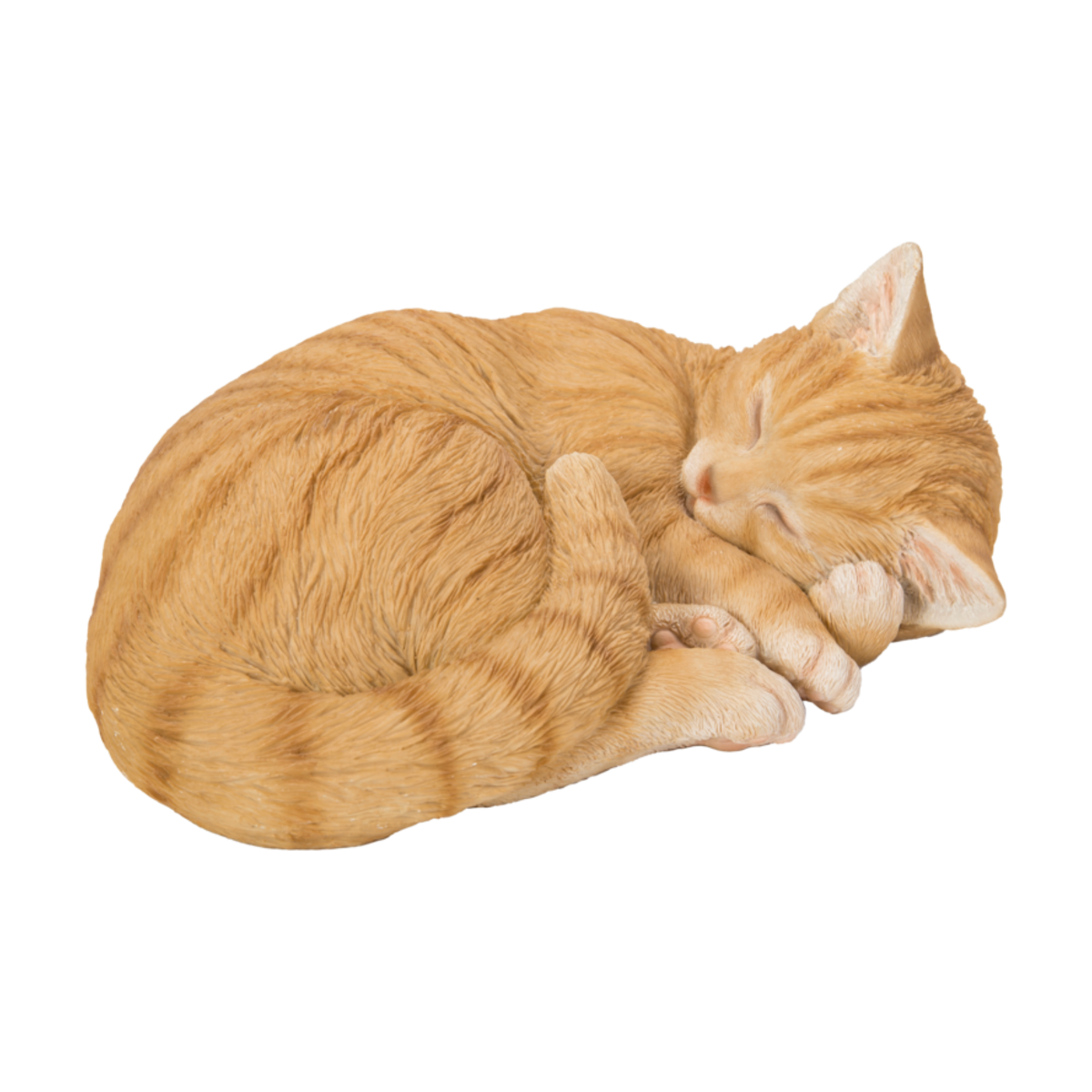 Sleeping Cat Ginger