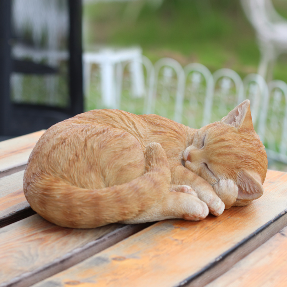 Sleeping Cat Ginger