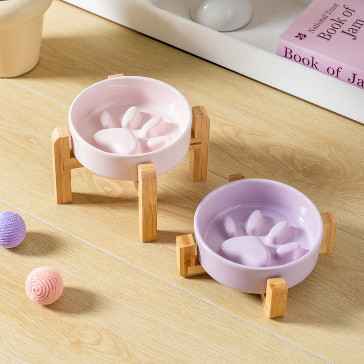 PawNest Slow-Feeder Bowl